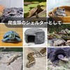 SevenTone Reptile Shelter Small Cave Aquarium Object Rock Lizard Turtle