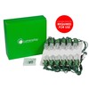 LumenPlay 1101950 Bulb Set App-Enabled C7 Extender String (12 RGB