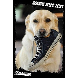 agenda chien 2020 2021 Semainier: Agenda Scolaire | Familial | Travail | Idéal pour la Rentrèe Scolaire | A5 | Thème Labrador