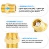 TAILONZ PNEUMATIC 2PCS Brass Check Valve 1/2" Male to 1/2"