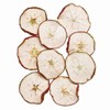 Core Trading DE018907-zzz Dried Flower Apple Slice, Red, Approx. Φ1.6