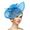 Zinniday Blue Fascinator for Women Tea Party - 2025 Feather