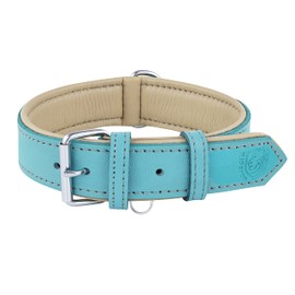 Riparo Dog Collar, Genuine Leather Dog Collar, Heavy Duty Dog Collar, Wide Dog Collar for Small Dog, Medium Dog, Leather Dog Collars for Large Dogs (XL, Aqua)