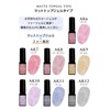 Reliable Japanese Fargel Artist Gel Series Color Gel (AK2, Beige