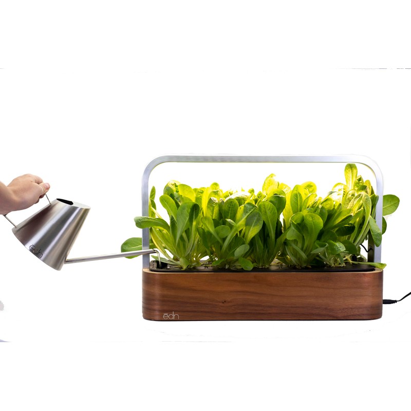 edn SmallGarden Bibb Lettuce SeedPods - 10 Pack