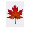 'Maple Leaf' Temporary Tattoo - Water Resistant, Skin-Safe, Non-Toxic Transfer