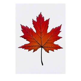 'Maple Leaf' Temporary Tattoo - Water Resistant, Skin-Safe, Non-Toxic Transfer (TO00048156)