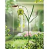Sunset Vista Designs Froggy Hanging from Cattail Garden Stake with