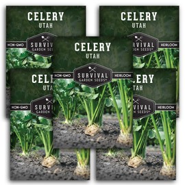 Utah Celery Seed for Planting - 5 Packets with Instructions to Plant & Grow Delicious Celery Plants in Your Home Vegetable Garden - Tender Crisp Non-GMO Heirloom Variety - Survival Garden Seeds