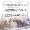 Fairy Tale Tarot Tarot Tarot Divination with Japanese Manual (English