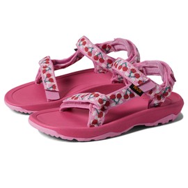 Teva unisex child T Hurricane Xlt 2 Sandal, Picnic Cherries Rosebloom/Bright White, 10 Toddler US