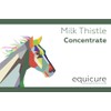 Equicure Milk Thistle 40x Concentrate - Liver Support and Detoxification