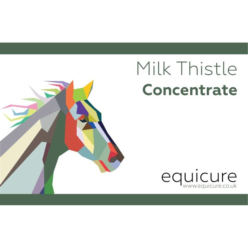 Equicure Milk Thistle 40x Concentrate - Liver Support and Detoxification