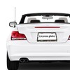 Foruidea Gold Queen Bees and Honeycomb Matte Aluminum License Plate