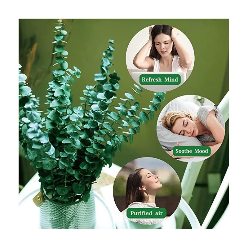 Sepper Eucalipto Real Preservado, 45cm 100% Natural Ramo de Eucalipto
