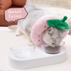 ANWA Adjustable Cat Cone Collar - Soft, Cute Recovery Collar