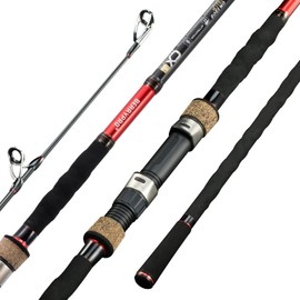 Berrypro Surf Spinning Rod Full Carbon Surf Fishing Rod Medium Action Surf Rod (9'/10'/10'6''/11'/12'/13'3'') (10'-2pc)