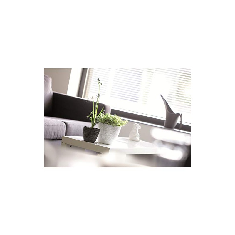 Prosperplast Splofy Flower Pot, Planter, Flower Pot, Knitting Pattern, Plastic