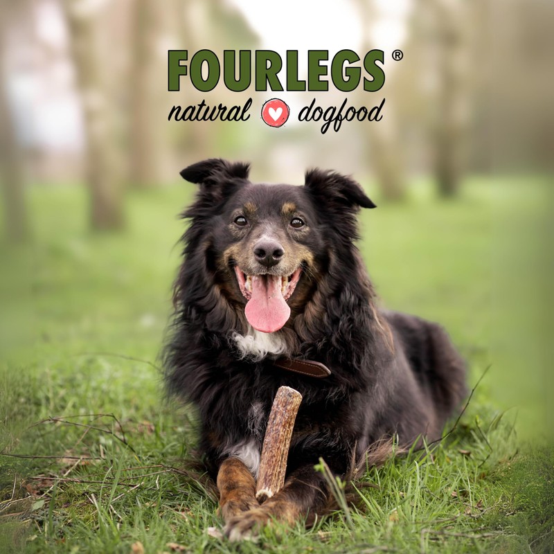 FOURLEGS® Natural Chew Snack for Dogs Made of 100% Deer