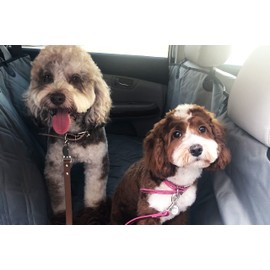 Bulldogology Dog Car Seat Cover Waterproof Heavy Duty Bench Dog Hammock Backseat Protector from Hair, Muddy Paws, Scratches - Pet Car Seat Cover for Cars Trucks SUVs (X-Large, Grey)