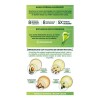 Tintura Tono 73 Color Miel Nutrisse Garnier