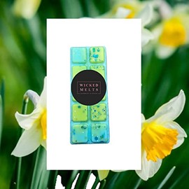 Springtime Wax Melt Snap Bar - Vegan Wax Melts - Scented Wax Melts - Handmade in Wales - Wax Melts Strong Scented