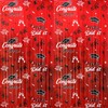 2025 Graduation Party Decoration Foil Fringe Curtains, 2 Pack 3.2×6.5