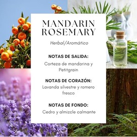 Lumara, Esencia Ambiental Aroma Hotel Waldorf para Difusor Profesional