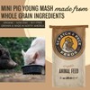 Scratch and Peck Feeds Organic Mini Pig Young Feed -