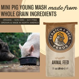 Scratch and Peck Feeds Organic Mini Pig Young Feed - 25-lbs - Certified Organic, Non-GMO Project Verified