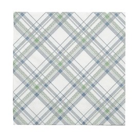 Fun Express 6 1/2" Sage Green & Slate Blue Plaid Party Disposable Paper Luncheon Napkins - 16 Count
