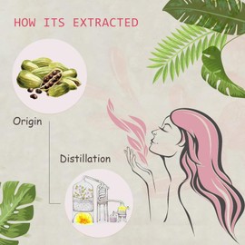 Cardamom Essential Oil - 100% Pure Organic Natural Plant (Elettaria cardamomum) Cardamom Oil for Diffuser, Aromatherapy, Spa, Massage, Yoga, Perfume, Body - 0.33oz