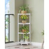 Hzuaneri Corner Shelf Stand, Corner Bookshelf, Storage Standing Shelf Unit