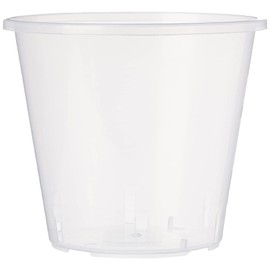 Stewart 2646008 11 cm Clear Pot - Clear