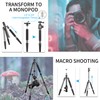 10 Layers Carbon Fiber Travel Tripod Monopod-INNOREL RT55C with 36mm