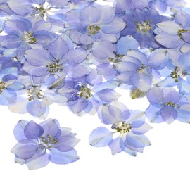 M METERXITY 48-Pack Dried Pressed Flowers for Resin, Real Natural Bulk Dry Floral for Crafts/DIY Jewelry/Soap Making/Scrapbooking/Candle/Epoxy Resin Supplies/Photo Frames [Purple]