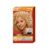 Creme Of Nature Hair Color - Haarfarbe Exotic Shine Color Ginger Blonde 10.01