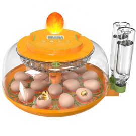 18 Egg Incubator with Automatic Egg Turning and Humidity Control, Egg Candler, Auto Water Replenishment, 2 Size Egg Trays, Air Vent, for Hatching Chicken Duck Quail Goose Eggs