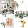5WYOUKE Wall Hanging Hooks with Nails, 10 Pieces, Load Capacity