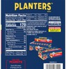 Planters Salted Peanuts - Protein Rich Snack - Single-Serve Packs