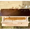 BeekeeiBeck® - 100% Real German Flower Pollen from Own Beekeeping