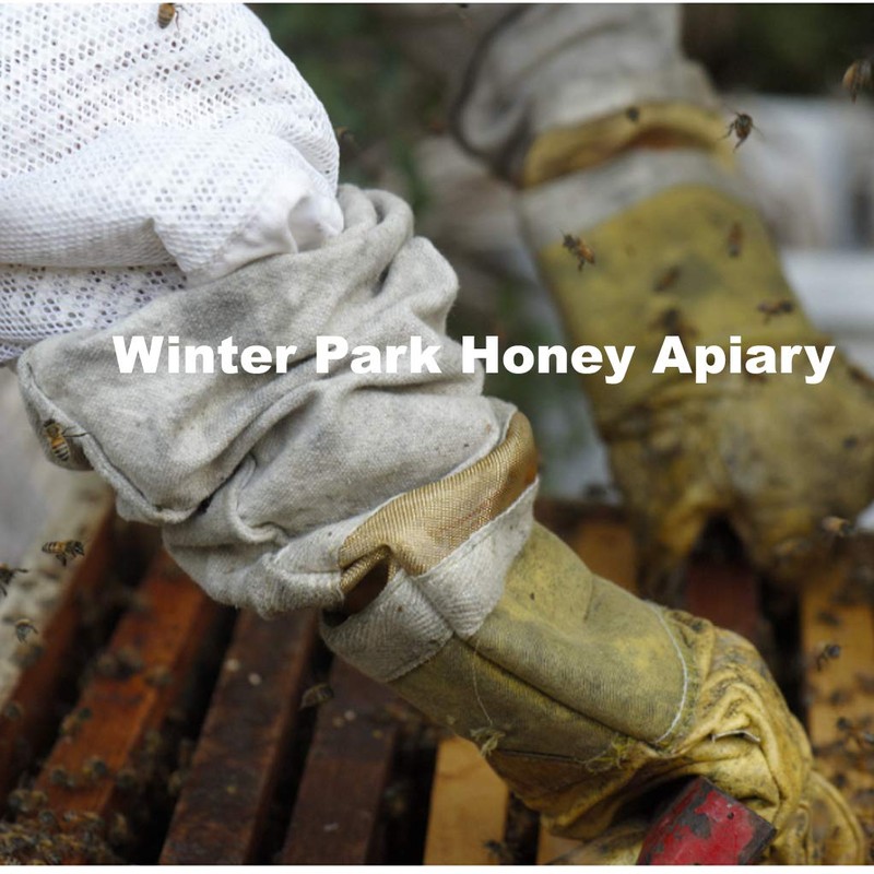 Seattle Honey | Local Bee Honey (Allergy Season)