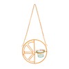 AIMALL Decorative Hummingbird Feeder with Orange Citrus Design – 7.08”