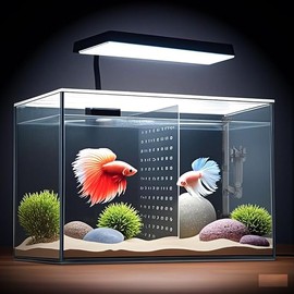 3 Gallon 12.6” L Fish Nano Glass Aquarium, with Separator Plate for Betta, Multi-Functional Square Fish Tank with Filter, LED Light, Black 4mm Glass
