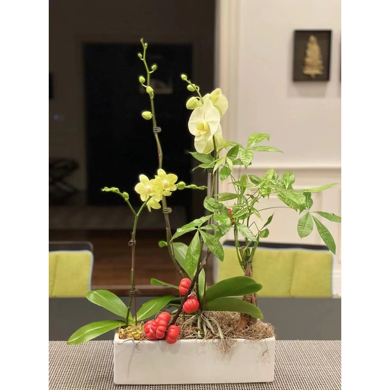 WGVI Long Rectangle Ceramic Planter Vase in White 12" x