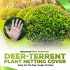 Deer-Terrent Deer Netting – Heavy Duty Bird Netting, Chicken Coop,