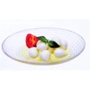 Miyazaki Tableware Plate Oval Plate Pashabache Generation S Clear PS10487