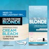 Colour Freedom Metallic Silver Blonde Permanent Hair Dye with PurePlex.