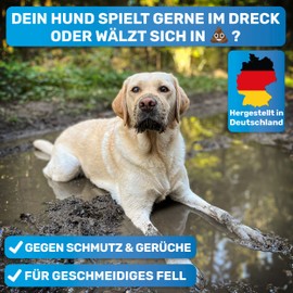 BluePet FellFein Dog Shampoo Sensitive & Odourless Made in Germany - Replenishing Care Shampoo with Aloe Vera & Jojoba Oil for Shiny Fur & Easy Combing = 100% Vegan (Dog Shampoo)