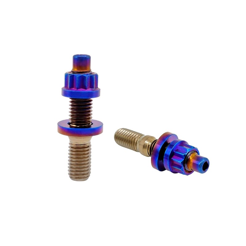 RISON-Titanium M10X1.25X45MM Titanium Exhaust Manifold Stud Kit Burnt Blue GR5